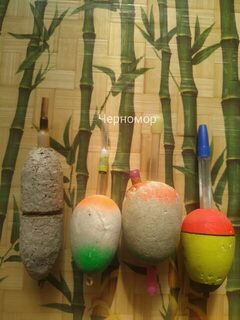 Сезоны ставриды и саргана пополняют коробку находок