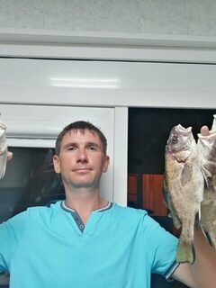Ставрида с самодура идет на трехкрючковую оснастку