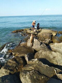 Чужие пять удилищ перекрывают забросы, а вся морская рыба уходит на еду