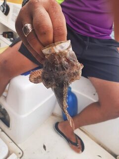 Улов и впечатления на Черном море все-таки получил