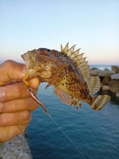 Последняя морская рыбалка в году прошла с сильным ветром и без саргана