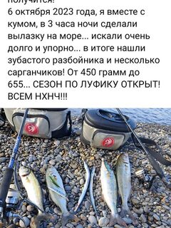 У Бориса Виноградова из Сочи пара сарганов и луфари