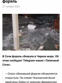 До форели теперь добираются с берега