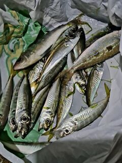 Окуни и ставридка на полграмма с леской 0,07 мм, почти мормышинг