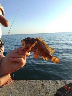 Вечерняя рыбалка на Чёрном море: карась мелкий, горбыля нет