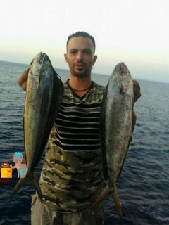Поездку на Кипр пока откладываю