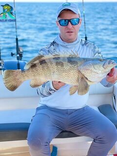 Пока барракуда не слишком активна, на рыбалке выручает хамур