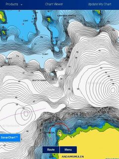 Для рельефа дна в Navionics нужен слой SonarChart