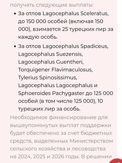 Перевод статьи Esenyel Partners о турецком решении № 8246