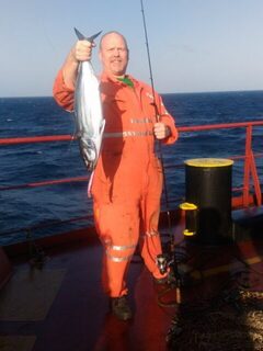 Тунца в Средиземном море сейчас много, бросается на всё