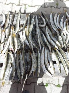 Чужие утренние напильники из соцсети