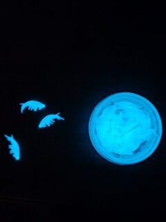 Хочу попробовать мормыша на отводном в темноте с леской около 0,24