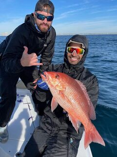 В Дестине с All Out Fishing попробовали ловить новый для нас вид