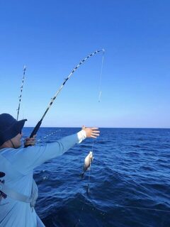 Небольшой морской улов у Дестина: рыба уже поднята над водой