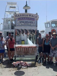 Общий улов у HarborWalk после выхода на рыбалку из Дестина