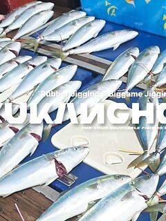 Сэндо после ночных кальмаров: около шестидесяти сериол для 14 гостей