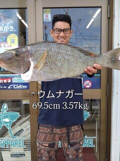 Умунага Okinawa.t.f длиной 69,5 см и весом 3,57 кг у Окинавы