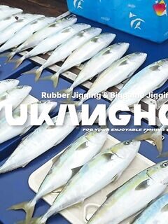Поздний старт из Пусана: сериолы у Сэндо клевали с первой точки