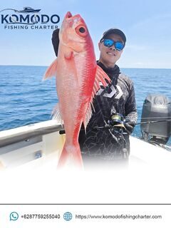 Снэппер на борту после нашего выхода с Komodo Fishing Charter
