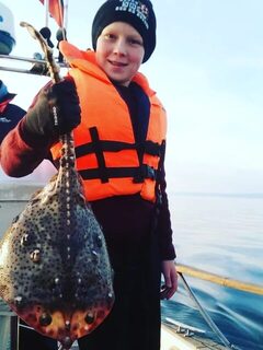 Морской скат после лодочной рыбалки у Ольгинки на Черном море