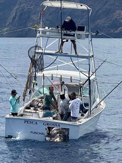Мадейра и голубой марлин: выход команды Pesca Grossa с крупным уловом