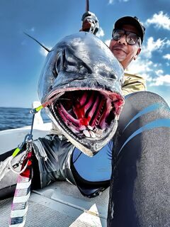 Собакозубый тунец на джиге у нашей команды в Красном море