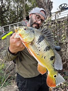 За павлиньим окунем на Тайване с Bruxa51 и WildLures KeyBow F