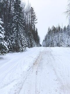 Четвертое января на Сухом море: один сиг и день у лунок