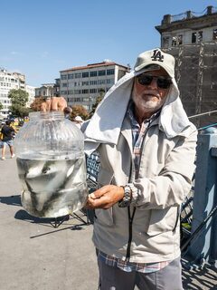 Галатский мост: ежедневные забросы там, где Золотой Рог встречает Босфор