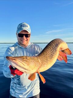 Щука 11,3 кг на Рыбинке и Choppy Tail 18 см в новом цвете