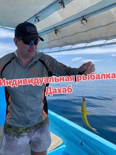 Рыбалка в Дахабе на день: трансфер и первый килограмм улова к обеду