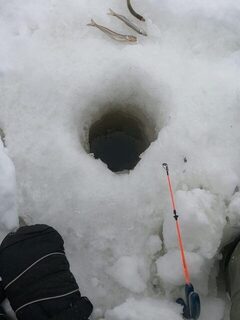 После снегоходов на Белое море: корюшка на рыбалке у Кеми