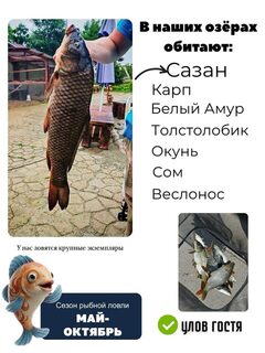 Озёра в Артёме приглашают на рыбалку на Приморском кольце, 6