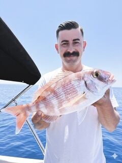 Морской выход у Калкана с крупной красноватой рыбой