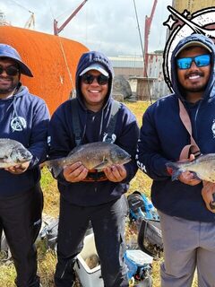 Кейп-брим команды Big Catch на открытом дне порта Кейптауна