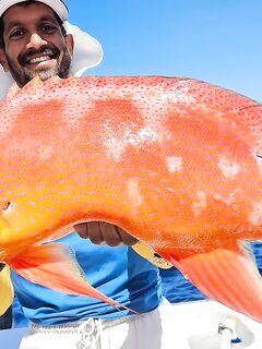 Групер на донную снасть: наш морской улов у Реюньона