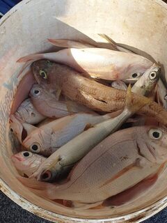 Бозбурун на восходе: открытая вода и улов морской рыбы