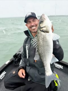 Сибас Северного моря: первая целевая ловля на приливной воде