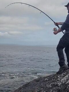 Скат Эйдана Нисбета в Шотландии на Excalibur Catfish класса 6 lb