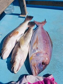Груперы и морской лещ у Адрасана: вспоминаем джиговую ловлю