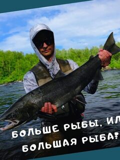 Печенга от большой воды до тинды: наблюдения о ходе сезона
