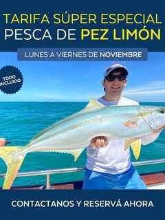 Pez Limón у Мар-дель-Платы и специальный будничный тариф
