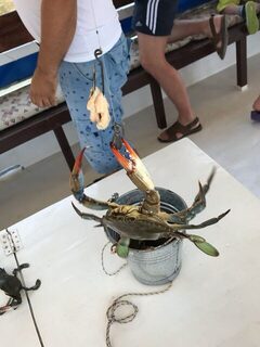 Дальян: ловили крабов рядом с ликийскими гробницами