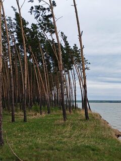 Усть-Алеус под ветром: холодная мокрая рыбалка на Обском море
