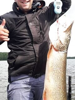 Щука с Volzhanka 50 Fish: спиннинг на Горьковском водохранилище