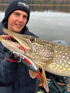 На Горьковском водохранилище джерк выручил после провала пелагики