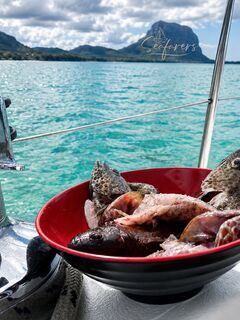 Утром у Ле-Морна наловили рифовой рыбы недалеко от берега