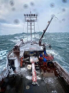 Arctic Lady завершала первый рейс на треску в холодном Беринговом море
