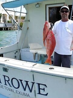 Красные снэпперы с борта Fish Rowe у багамских островов Эксума