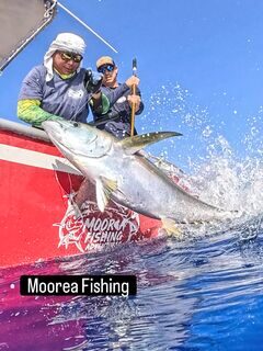 Третья рыбалка с Moorea Fishing Adventures принесла хороших рыб